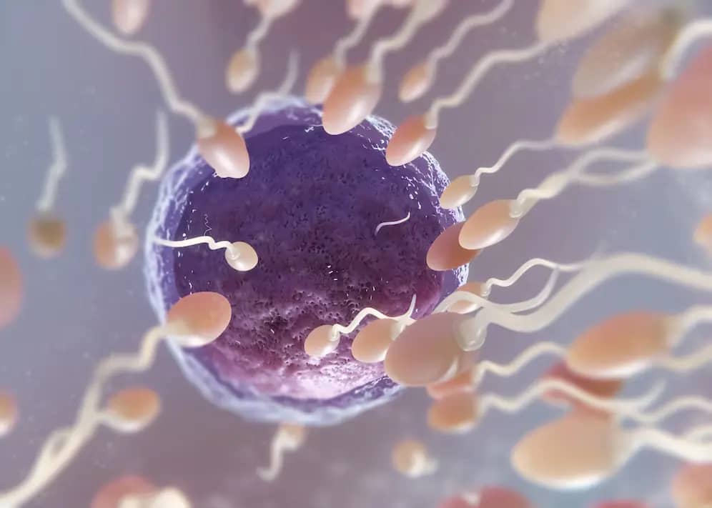 لفظٌ واحد في القرآن يغطي أربعة حقائق علمية دقيقة